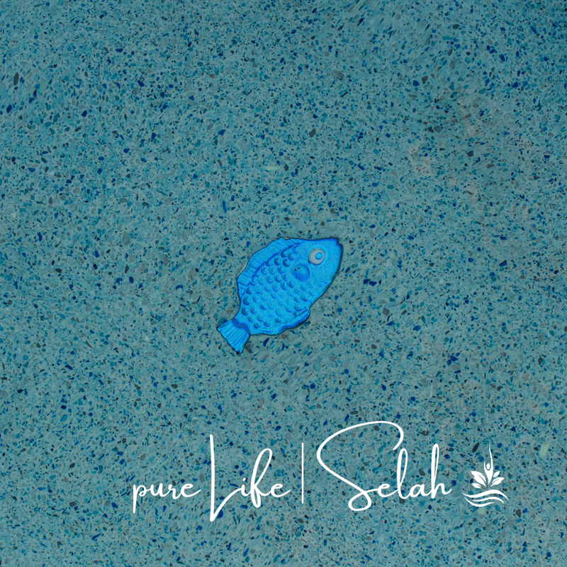 An extreme close-up of the pool’s interior showcases the beautiful blue pebbled plaster. A tiny metallic ceramic fish accent, in deep blue, is embedded within the plaster, evoking a nostalgic childhood memory of the pool.