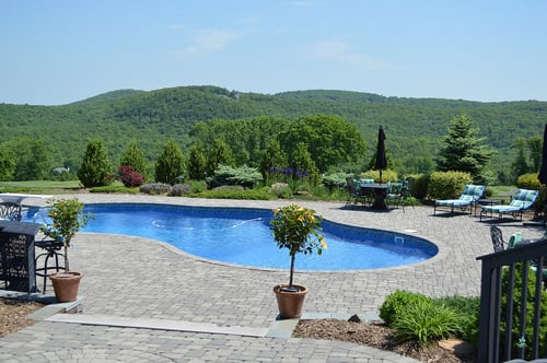 7 Reasons to Choose a Kidney-Shaped Pool