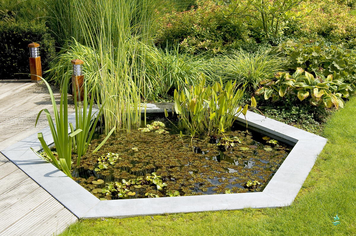 Water Features Ponds